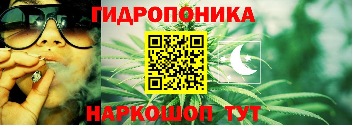 Марихуана конопля Муравленко